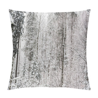 Personality  Scenic View Of Pine Forest With Tall Trees Covered With Snow Pillow Covers