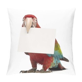 Personality  Green-winged Macaw, Ara Chloropterus, 1 Year Old, Holding A White Card In Its Beak In Front Of White Background Pillow Covers