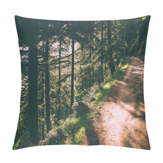 Personality  Beautiful Green Trees And Footpath In Indian Himalayas, Dharamsala, Baksu Pillow Covers