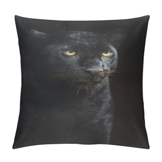 Personality  Leopard In Wild Habitat Pillow Covers