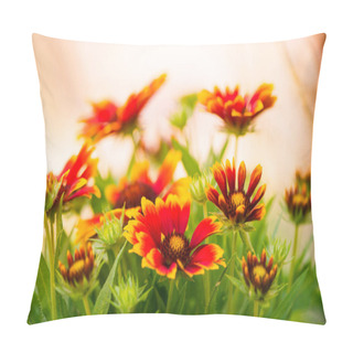 Personality  Multicolor Summertime Gaillardia Garden Flowers At Sunlight Pillow Covers