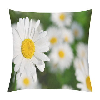 Personality  Field Of Wild Camomiles Pillow Covers