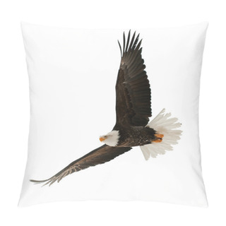 Personality  The Bald Eagle (Haliaeetus Leucocephalus) Pillow Covers