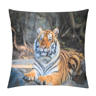 Personality  Bengal Tiger Pillow Covers