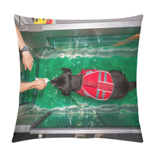 Personality  View On A Dog Walking In A Water Treadmill During Physical Therapy Pillow Covers