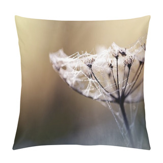 Personality  Plant Covered With Spider Webs In The Morning Pillow Covers