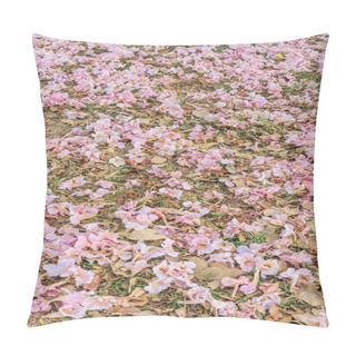 Personality  Tabebuia Roses Pink Flowers Pillow Covers