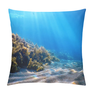 Personality  Underwater Scene, Fish Underwater Life, Marine Life Pillow Covers