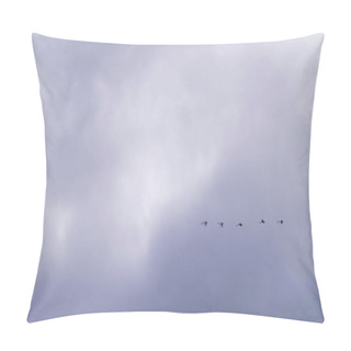 Personality  Migratory Birds In Flight Against A Cloudy Sky, Returning In Spring. Seasonal Migration Of Birds, A Natural Occurrence Signaling Warmer Days. Flock Of Birds Soaring Through A Dynamic Sky, Marking The End Of Winter. Pillow Covers