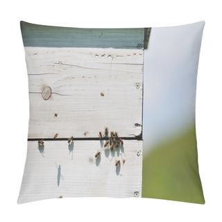 Personality  Bee Home At Meadow Pillow Covers