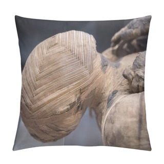 Personality  Egyptian Mummy Head Close Up Pillow Covers