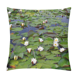 Personality  Field Water Lilies (Nymphaea Alba) Pillow Covers