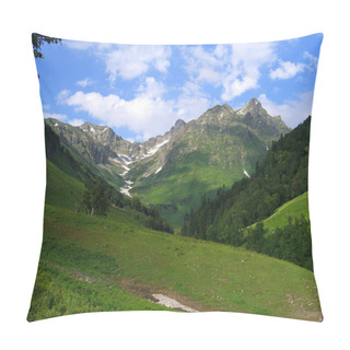 Personality  The Mountains In Summer Pillow Covers