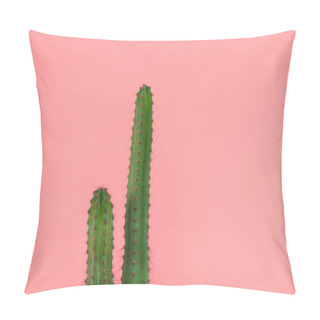 Personality  Beautiful Green Cactuses With Thorns Isolated On Pink  Pillow Covers
