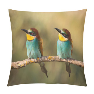 Personality  Couple Of Bee-eaters On Branch Pillow Covers
