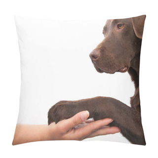 Personality  Dog Paw And Human Hand Doing A Handshake Pillow Covers