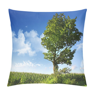 Personality  Big Elm Tree Near Corn Field Pillow Covers