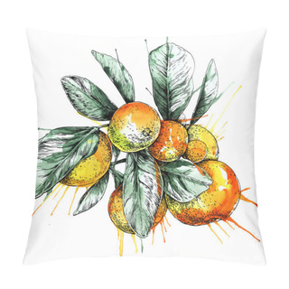 Personality  Mandarin Orange (Citrus) Branch With Leaves. Hand Drawn Easy Editable Watercolor Vector Illustration Pillow Covers