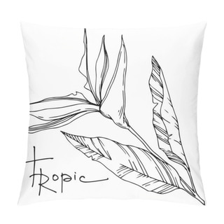 Personality  Vector Palm Beach Tree Leaves. Black And White Engraved Ink Art. Isolated Leaves Illustration Element. Pillow Covers