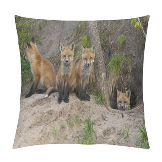 Personality  Red Fox Kits At Their Den Pillow Covers