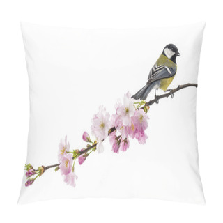 Personality  Great Tit Perched On A Flowering Branch, Parus Major, Isolated O Pillow Covers