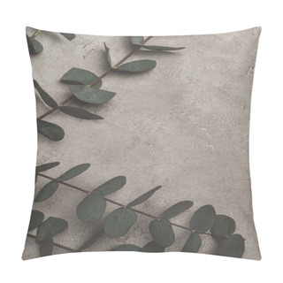 Personality  Top View Of Green Eucalyptus Leaves On Concrete Surface  Pillow Covers