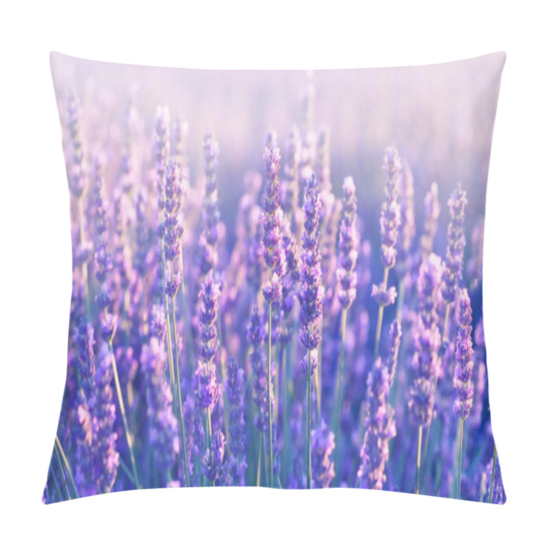 Personality  Lavender flowers pillow covers