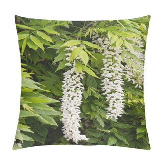 Personality  White Wisteria Flowers In Bloom Pillow Covers