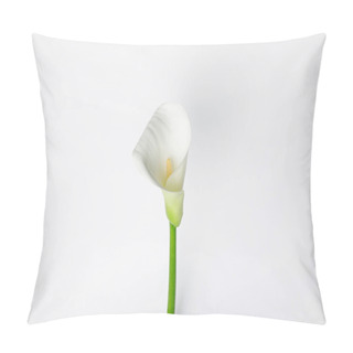 Personality  White Calla Flower Isolated On White Pillow Covers