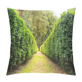 Personality  Walkside Between Clipped Bushes, Summer Park In Europe. Professional Gardening, European Green Landscape, Garden Plants Decoration Pillow Covers