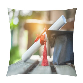 Personality  Graduation Hat And Diploma Pillow Covers