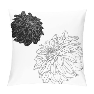 Personality  Sketch Floral Botany Collection. Dahlia Flower Drawings. Black And White With Line Art On White Backgrounds. Hand Drawn Botanical Illustrations. Pillow Covers