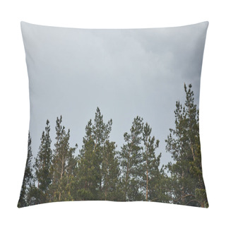 Personality  Low Angle View Of Trees On Grey Sky Background  Pillow Covers