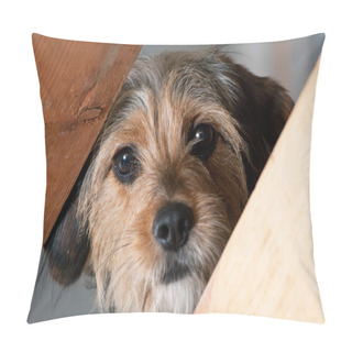 Personality  Borkie Dog Peeking Through A Gap Pillow Covers