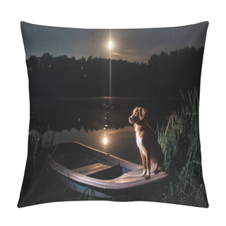 Personality  Dog Nova Scotia Duck Tolling Retriever Pillow Covers