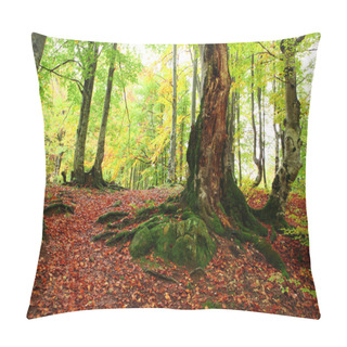 Personality  Golden Autumn In Beech Forest Pillow Covers