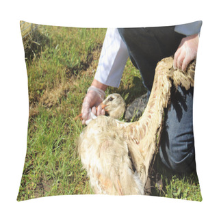 Personality  Wounded Wild Bird Stork Pillow Covers