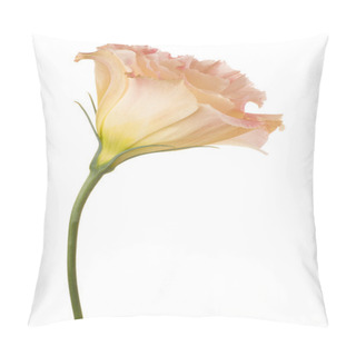 Personality  Flowers Isolated On White Pillow Covers