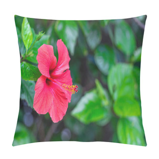 Personality  Red Hibiscus Flower On A Green Background. In The Tropical Garden. Macro. Detailed. Pillow Covers