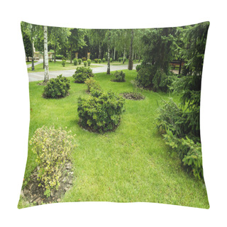 Personality  Green Bushes On Fresh Grass Near Trees And Pines In Park  Pillow Covers
