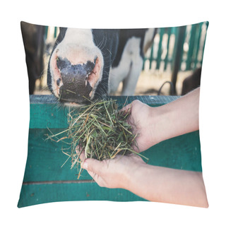 Personality  Farmer Feeding Cow In Stall  Pillow Covers