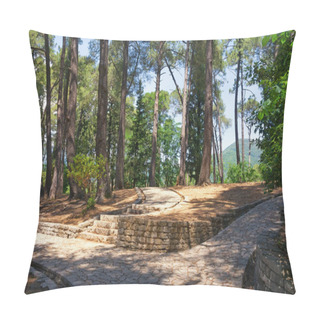 Personality  Pathways In Park. Montenegro, View Of Botanical Garden (Large Town Park ) In Tivat City Pillow Covers