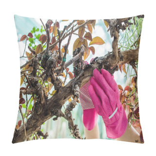 Personality  Close-up Partial View Of Woman In Pink Rubber Gloves Working With Plant In Greenhouse Pillow Covers
