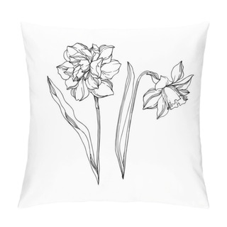 Personality  Vector Narcissus Floral Botanical Flowers. Black And White Engra Pillow Covers