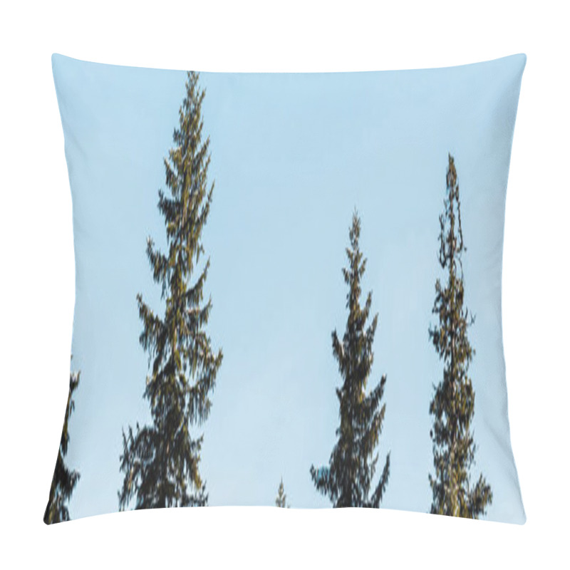 Personality  scenic view of green pine trees covered with snow in sunlight on blue sky background, panoramic shot pillow covers