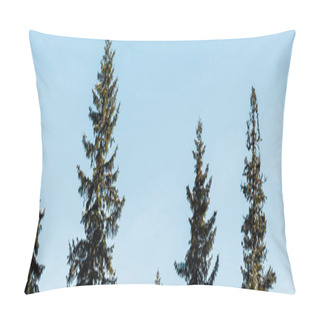 Personality Scenic View Of Green Pine Trees Covered With Snow In Sunlight On Blue Sky Background, Panoramic Shot Pillow Covers