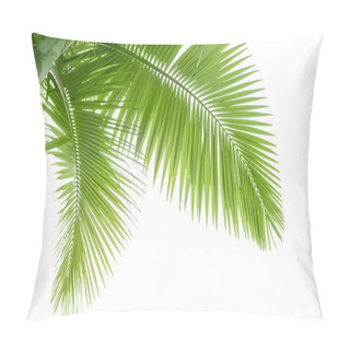 Personality  Palm Tree Pillow Covers