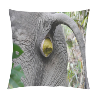 Personality  An Elephant's Butt At A Time Of Physiological Need Pillow Covers