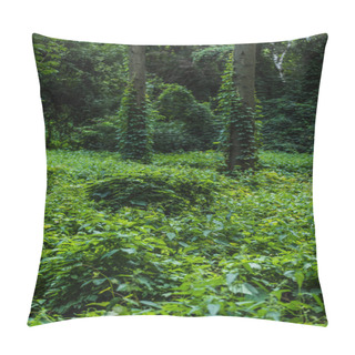 Personality  Dramatic Shot Of Forest With Ground Covered With Green Vine Pillow Covers