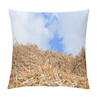 Personality  Straw, Hay Background Pillow Covers